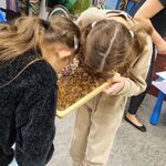 Uczennice wąchają zioła na tacy.