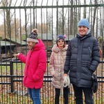 Uczniowie stoją przed ogrodzeniem dla zwierząt. Oni oglądają żubra.