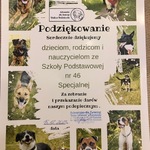 Podziękowanie za udział w akcji 