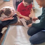 Uczniowie siedzą na dywanie. Pani prowadząca trzyma na kolanach szynszyla.
