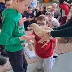 Uczeń patrzy na kurę. Pani prowadząca trzyma ją w ręku.