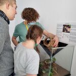 Wycieczka na wystawę zwierząt egzotycznych - pająków i skorpionów
