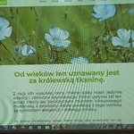 Slajd wyświetlany na ekranie tablicy interaktywnej.