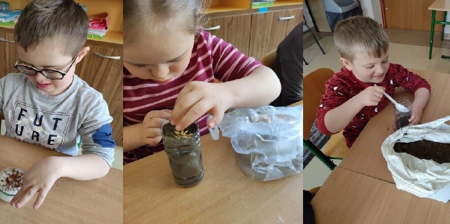 ogródek mini.jpg