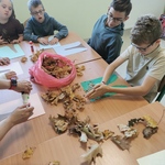 Uczniowie siedzą wokół stołu i gniotą suche liście.