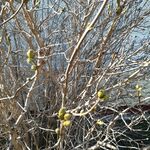 Poszukiwania wiosny 4b