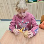 uczennica siedzi przy stole. W jednej ręce trzyma ziemniak w drugiej obieraczkę.