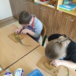 Wiosenny twarożek w klasie 2b