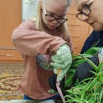 Uczennica z pomocą nauczyciela wsypuje ziemię do doniczki.