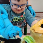Uczeń wsypuje ręką w rękawiczce ziemię do doniczki z cebulą.