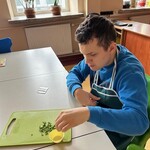 Uczeń wkłada szczypiorek do foremki na muffinki
