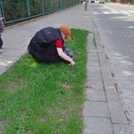 Uczniowie zbierają śmieci.