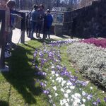 Wiosenne ZOO