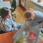 Uczennice patrzą na myszy w klatce