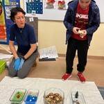 Uczeń dokłada przedmiot pasujący do pory roku