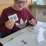 Uczniowie wymieniają się symbolami.
