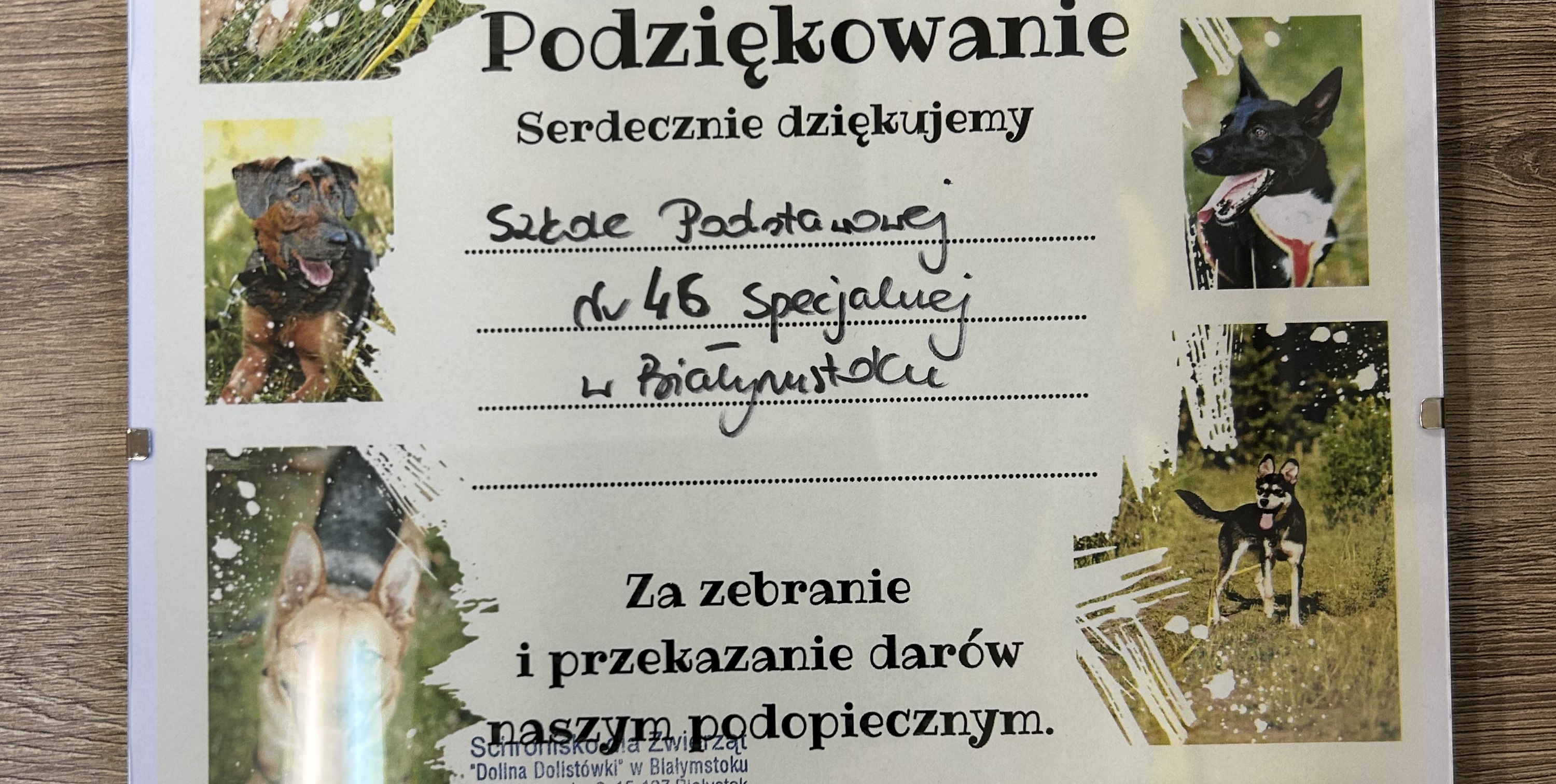Wyjazd do schroniska w Białymstoku