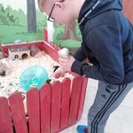 Z wizytą w Zoolandzie