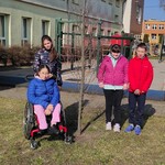 Uczniowie stoją obok drzewka