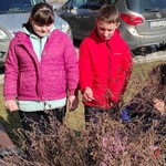 Uczniowie szukają pączków listków na gałązkach