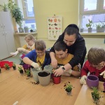Pomoc nauczyciela pomaga uczniowi w sadzeniu kwiatka