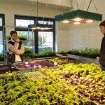 Uczniowie w pracowni ogrodniczej