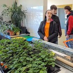 Uczniowie w pracowni ogrodniczej