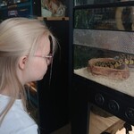 Uczennica patrzy na węża w terrarium.