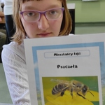 Warsztaty integracyjno-plastyczne 