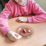 Uczennica siedzi przy ławce na której znajduje się talerz z kawałkami jesiennych owoców. Dziewczynka smakuje owoców.
