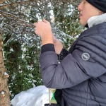 Uczeń zawiesza kulkę z pokarmem na drzewie.
