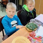 Dwóch uczniów siedzi przy stole,Przed nimi leżą gałązki choinki i drewniane krążki.