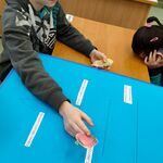 Uczniowie układają i przyklejają produkty na piramidzie żywienia.